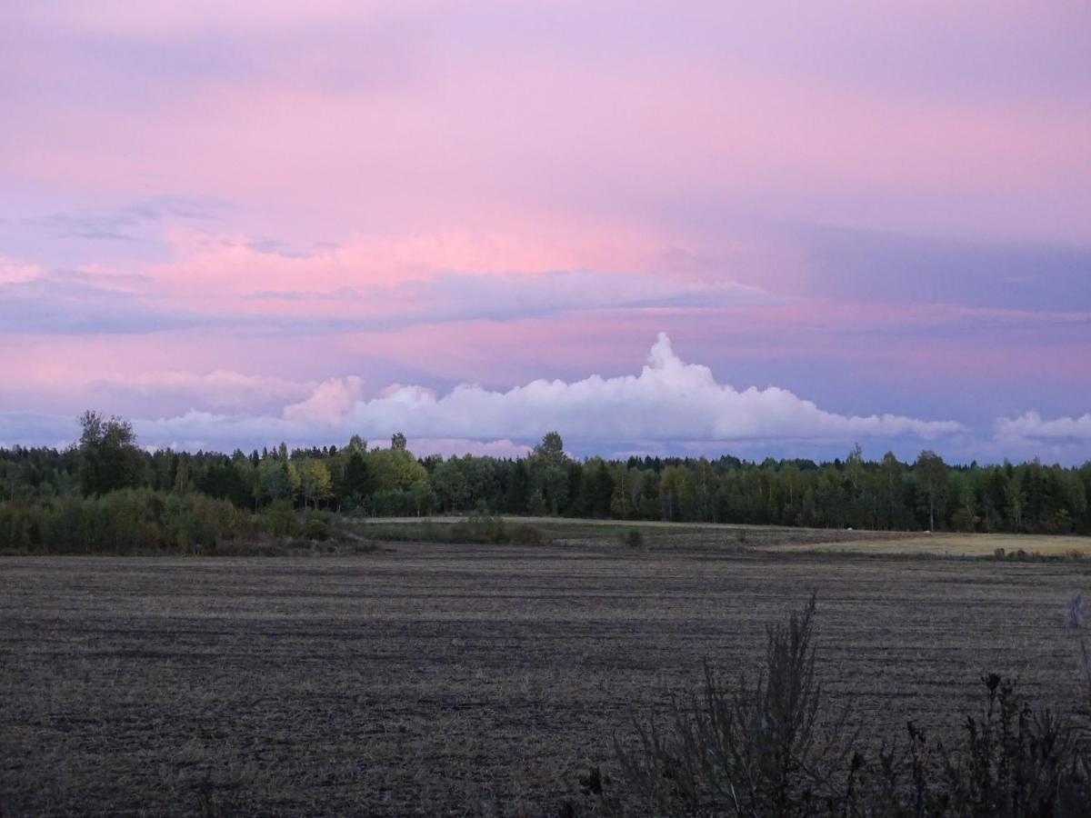 Triangle Cabin Laitila Buitenkant foto